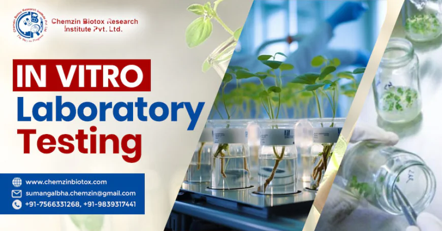 Importance of In Vitro Laboratory Testing Services