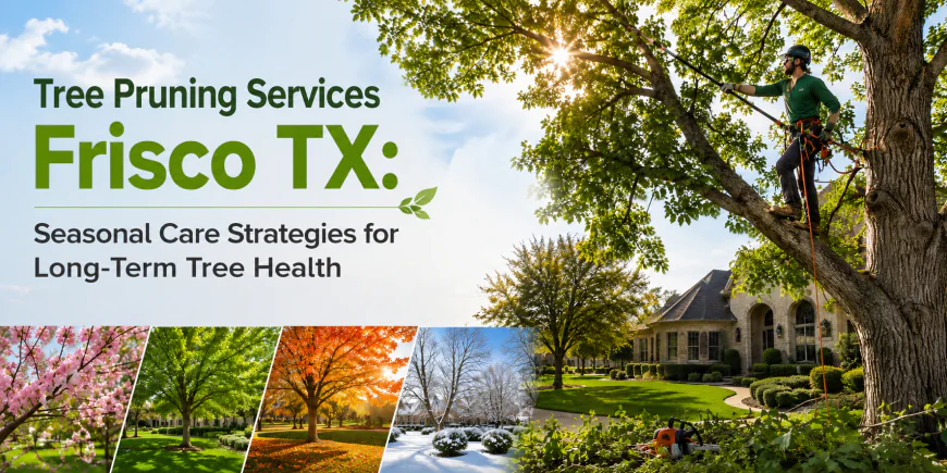 Tree Pruning Services Frisco TX: Seasonal Care Strategies for Long-Term Tree Health