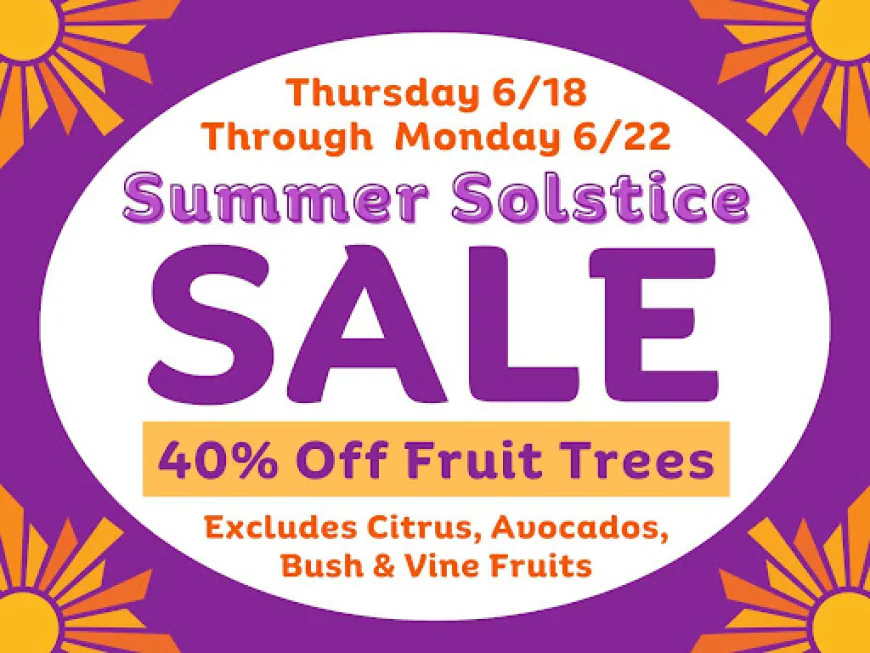 Summer Care for Backyard Fruit Trees | East Bay | Evergreen Nursery