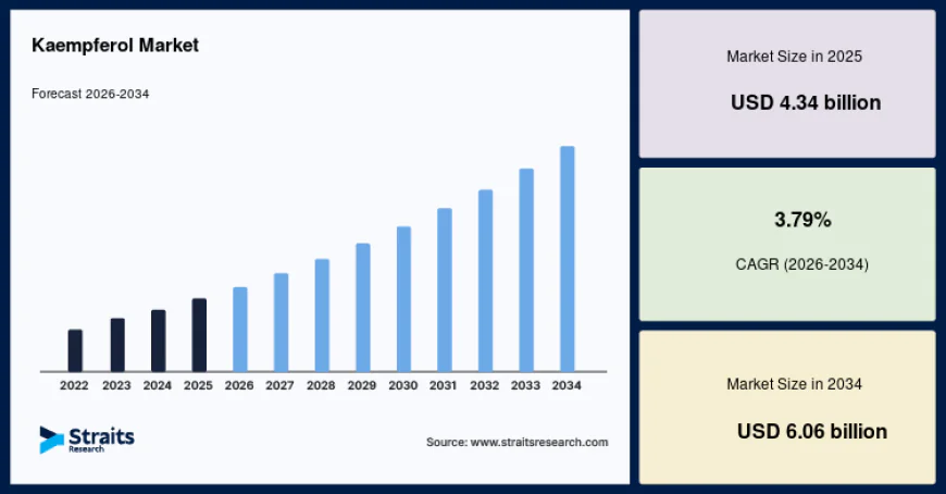 Kaempferol Market Size, Industry Share and Future Outlook, 2034