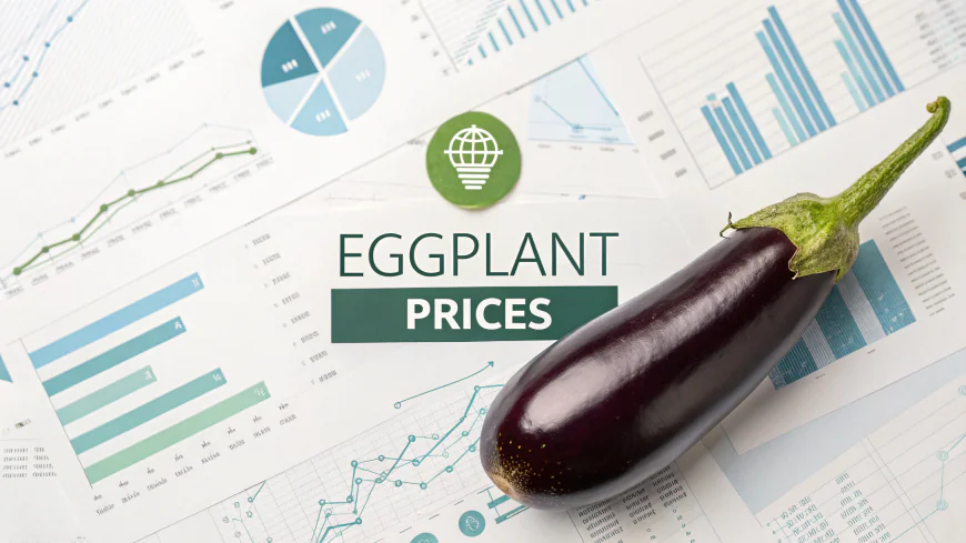 Eggplant Prices Index Analysis with Quarterly Trend and Forecast Prices Chart