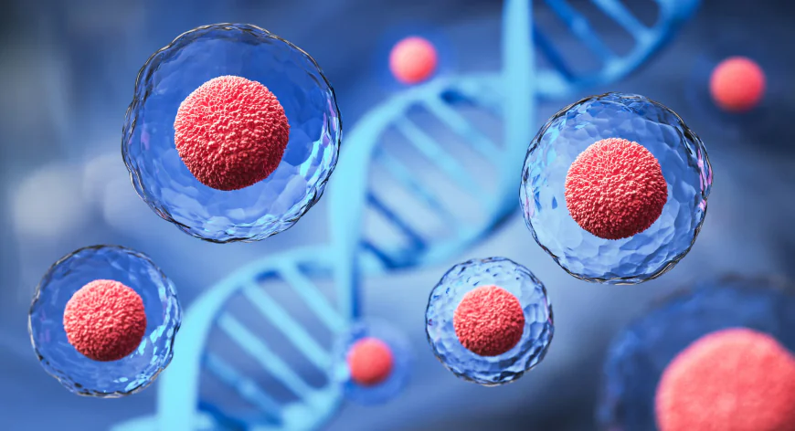 What Are Stem Cells? A Simple Guide to Their Types