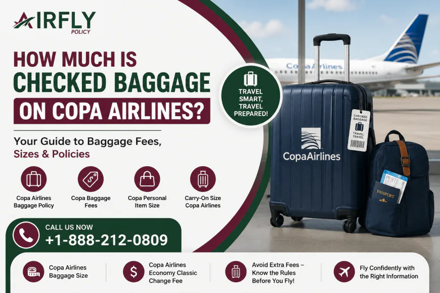 How Much Is Checked Baggage on Copa Airlines?