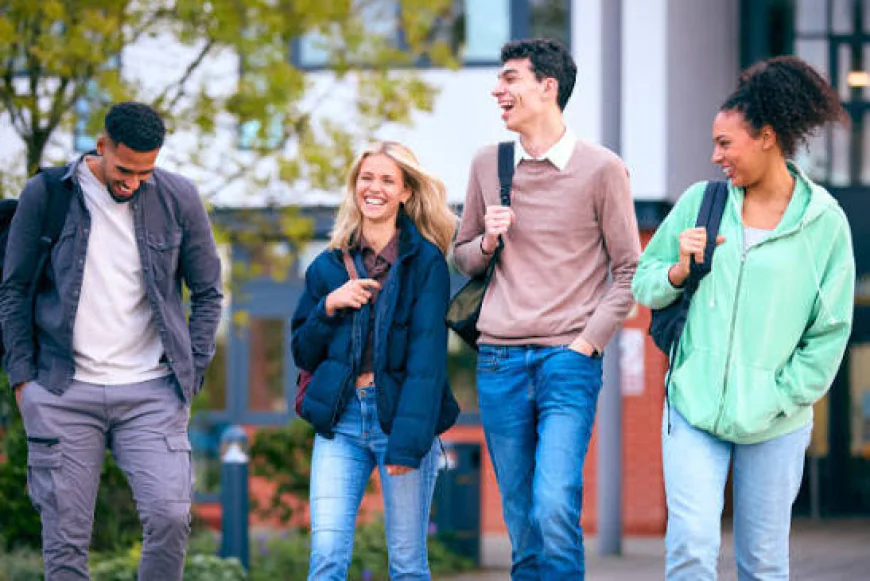How a Uk Research Advisor Can Help You Achieve Academic Success in the UK