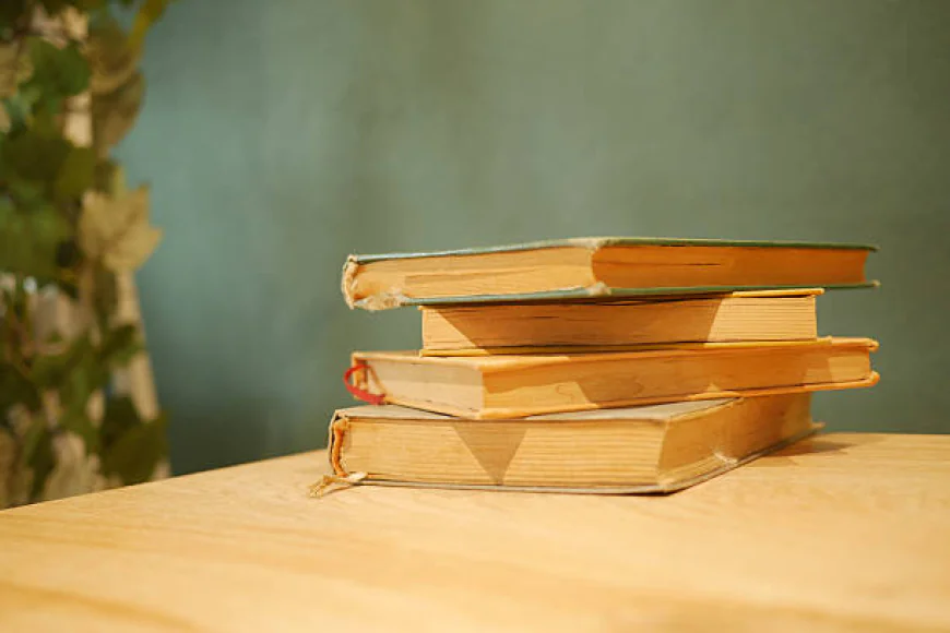 Emotional Women’s Fiction Novels for Readers Who Want Meaningful Stories
