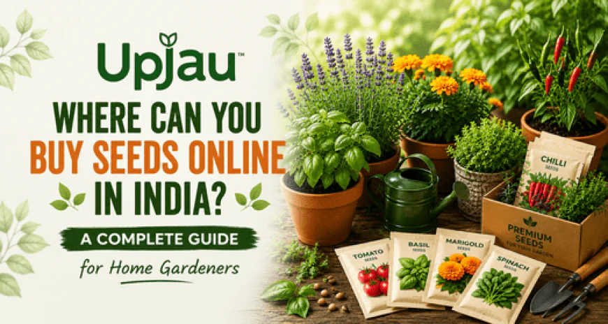 Where Can You Buy Seeds Online In India? A Complete Guide for Home Gardeners