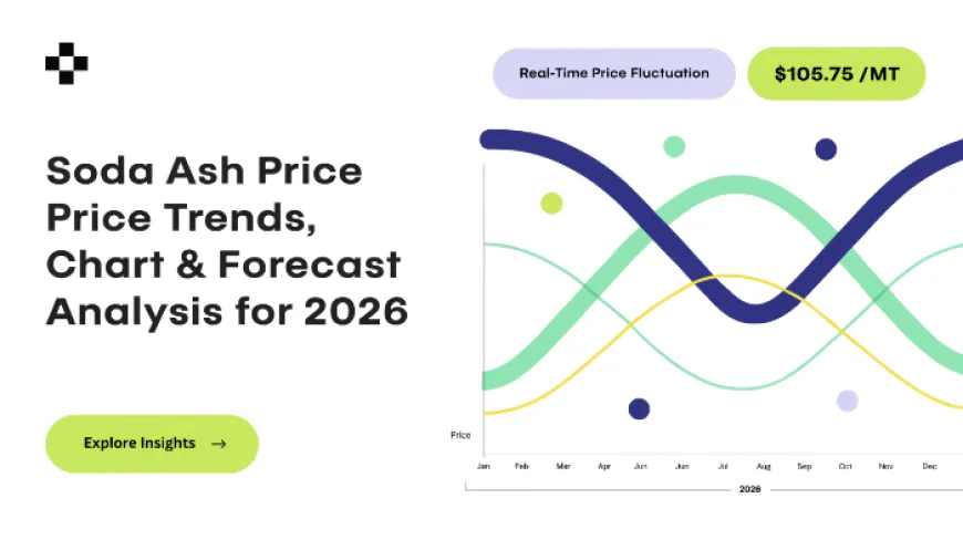 Soda Ash Price Trend Q2 2026: Chart, Index and Global Market Insights