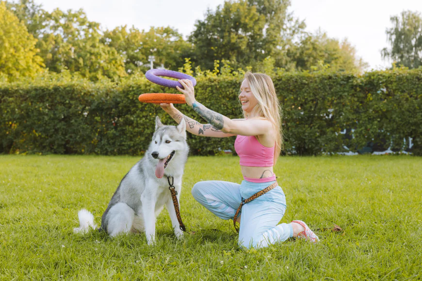 Dog Training Annapolis MD: Building Better Relationships Between Dogs and Their Owners
