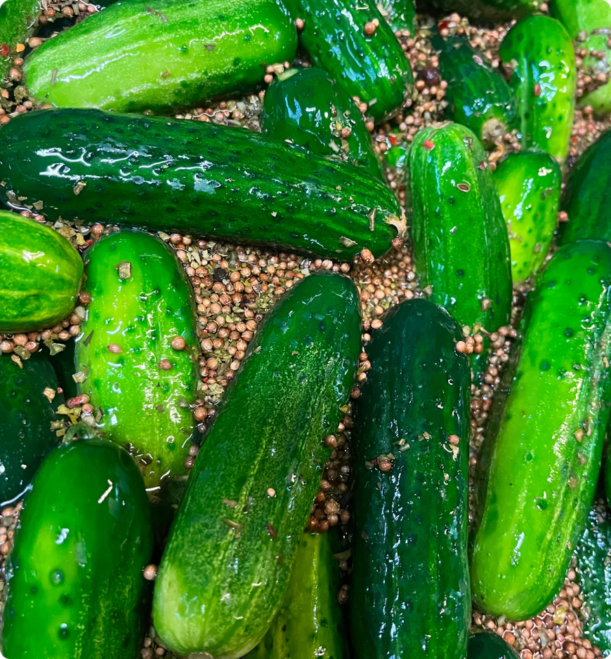 Why Smart Food Businesses Are Turning to Wholesale Pickles for Consistent Quality and Value