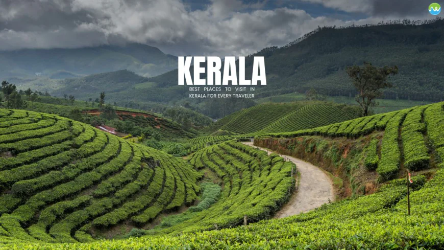 Kerala Tour Packages Under 10000 Covering Munnar and Alleppey