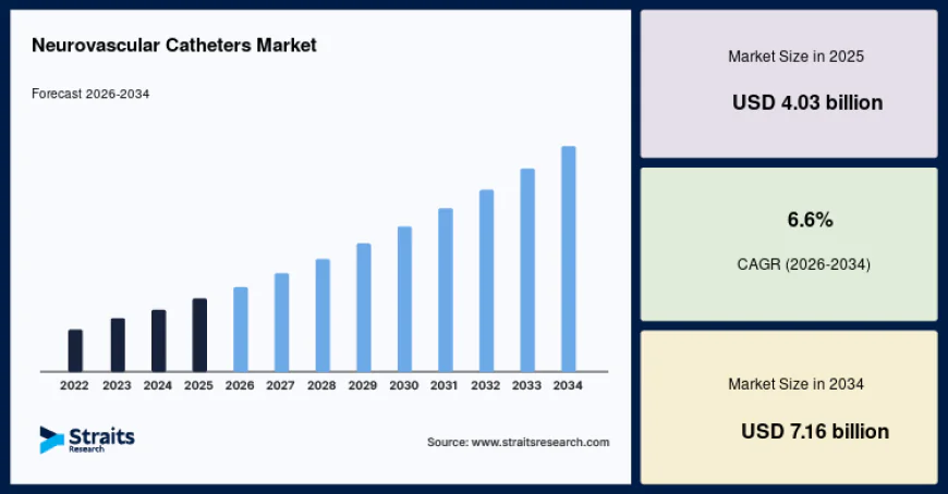 Future Innovations in the Neurovascular Catheters Market