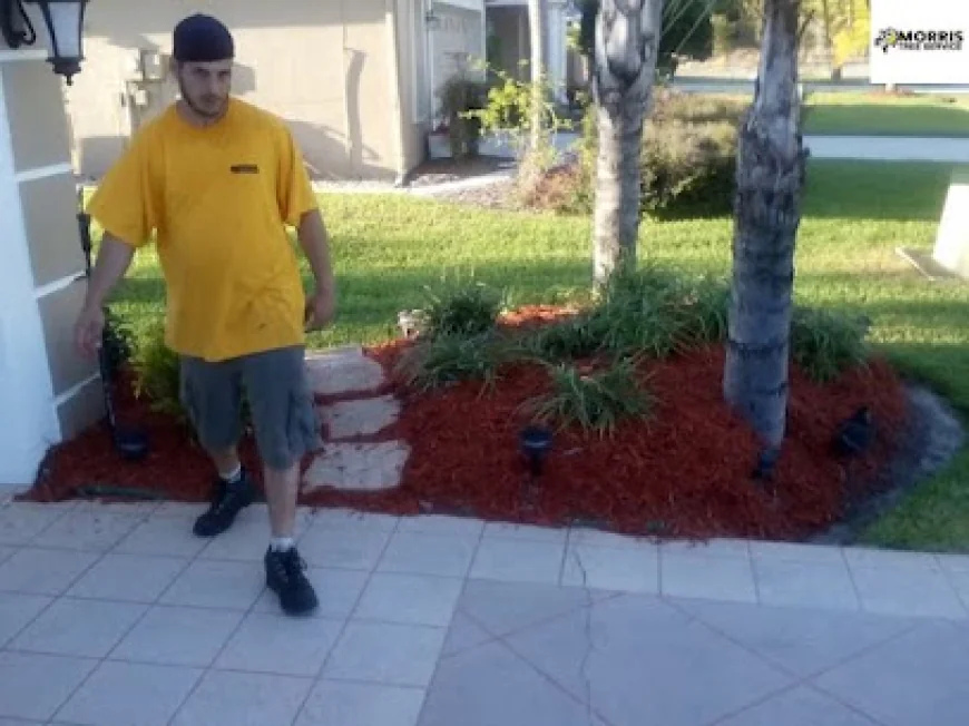 Choosing the Right Wildlife and Rodent Control Services