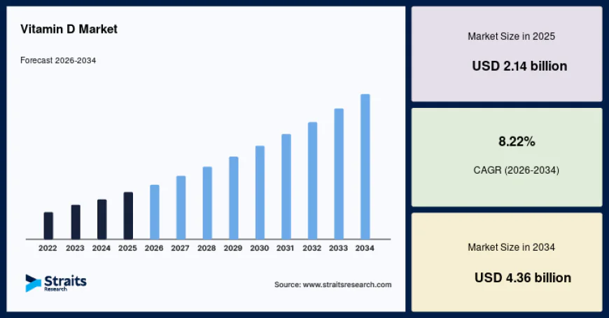 Vitamin D Market Growth Supported by Functional Food Innovation