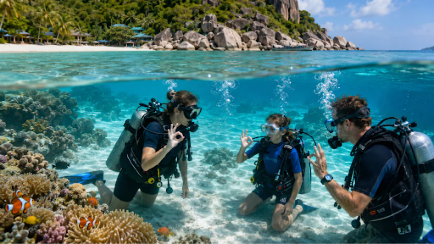 Is Koh Tao Good for Family and Beginner Scuba Diving?