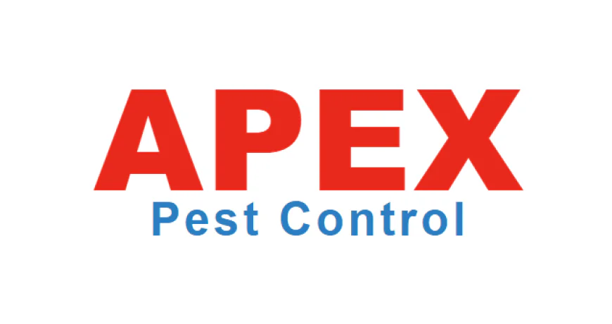 Top Wasp Nest Removal Costs in Yorkshire: 2026 Price Guide