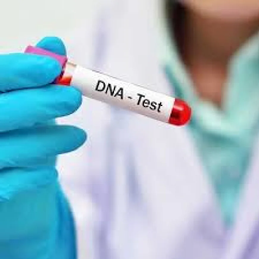DNA Testing in Dubai: Everything You Need to Know About Modern Genetic Testing