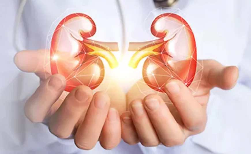 Kidney Transplant Surgery in Gurgaon
