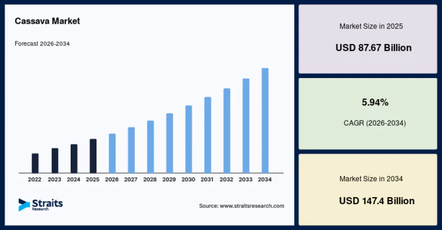 Cassava Market Revenue Insights & Industry Forecast 2034