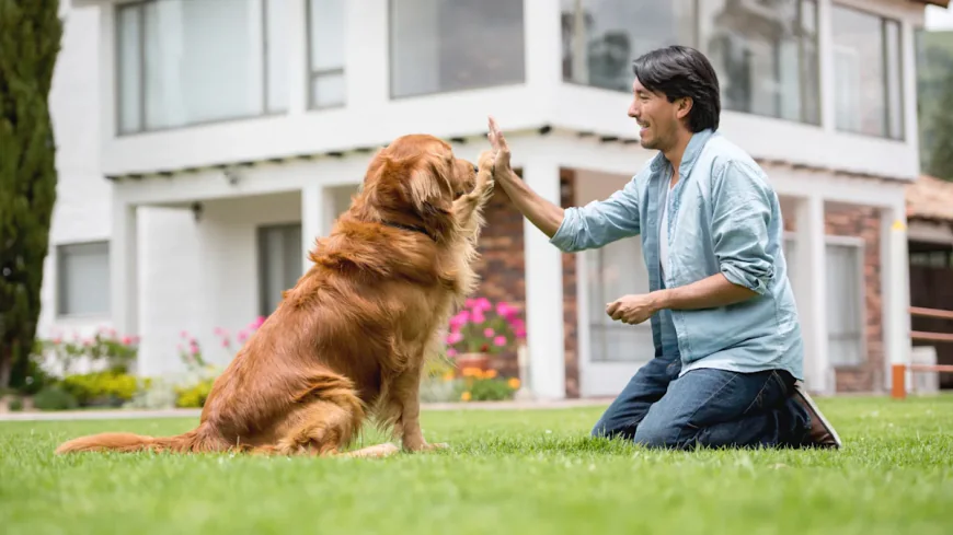 7 Signs You Need a Professional Dog Trainer Long Island NY for Your Dog