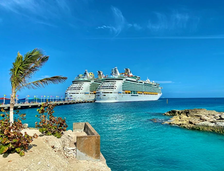 How a Cruise Travel Agency in Tampa, FL Helps Travelers Sail Without the Stress