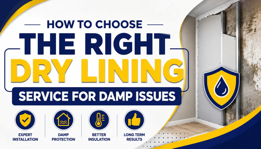 How to Choose the Right Dry Lining Service for Damp Issues