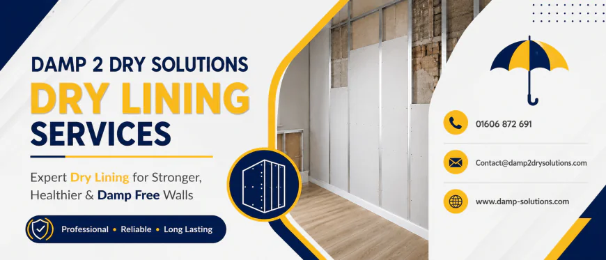 How to Choose the Right Dry Lining Service for Damp Issues