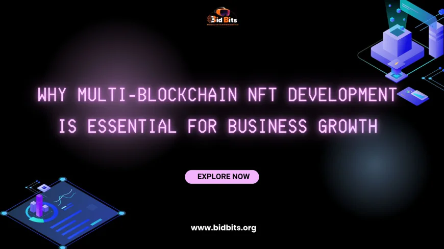 Why Multi-Blockchain NFT Development Is Essential for Business Growth