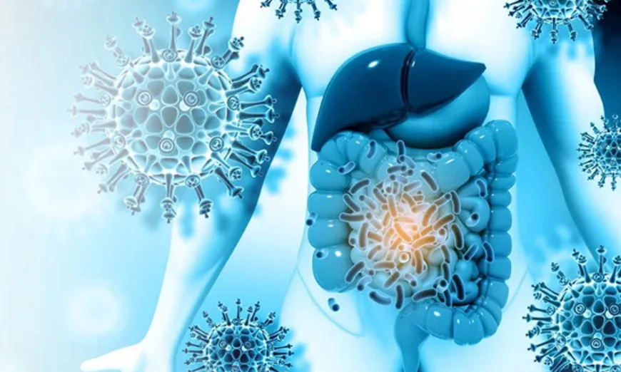 Retroperitoneal Sarcoma Treatment in India: Expert Care for a Rare and Complex Cancer