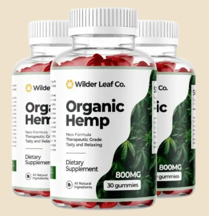 What are the potential benefits of Wilder Leaf Organic Hemp?