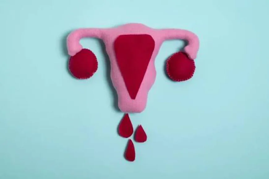Vaginal Bleeding Between Periods: Causes, Home Care & When to Worry