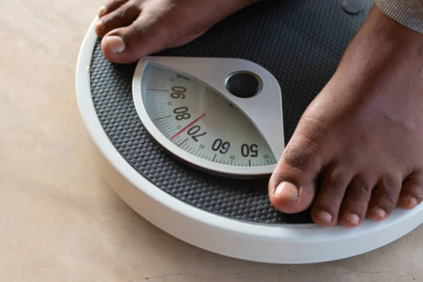 Turkey Weight Management and Wellbeing: Structured Nutrition Adoption and Preventive Health Transition