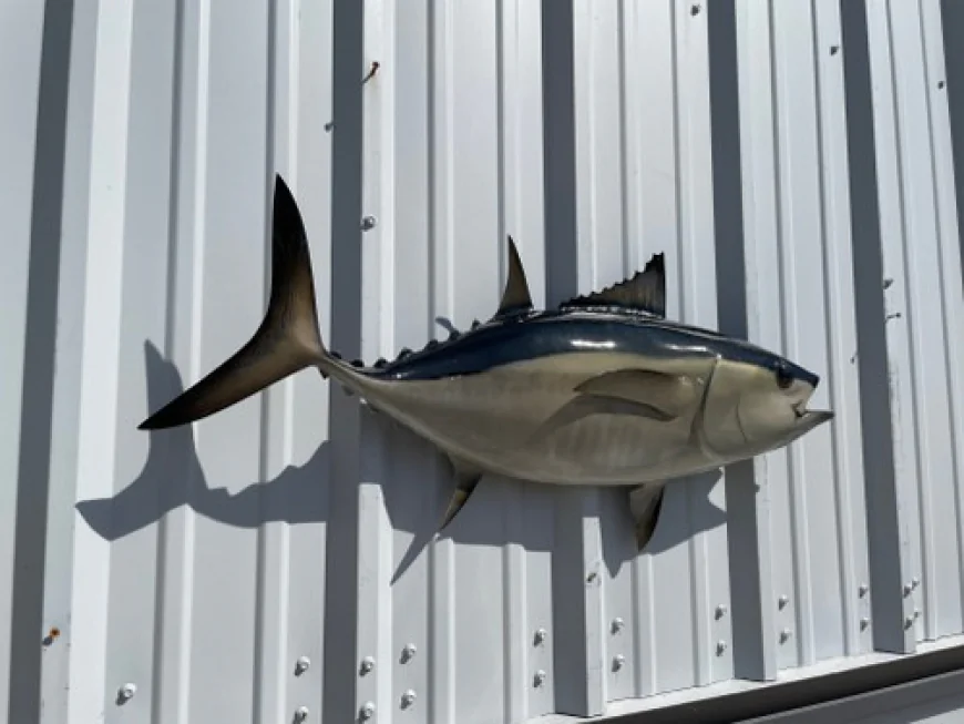 Premium Fish Mount Replicas and Modern Taxidermy Solutions for Anglers in the USA
