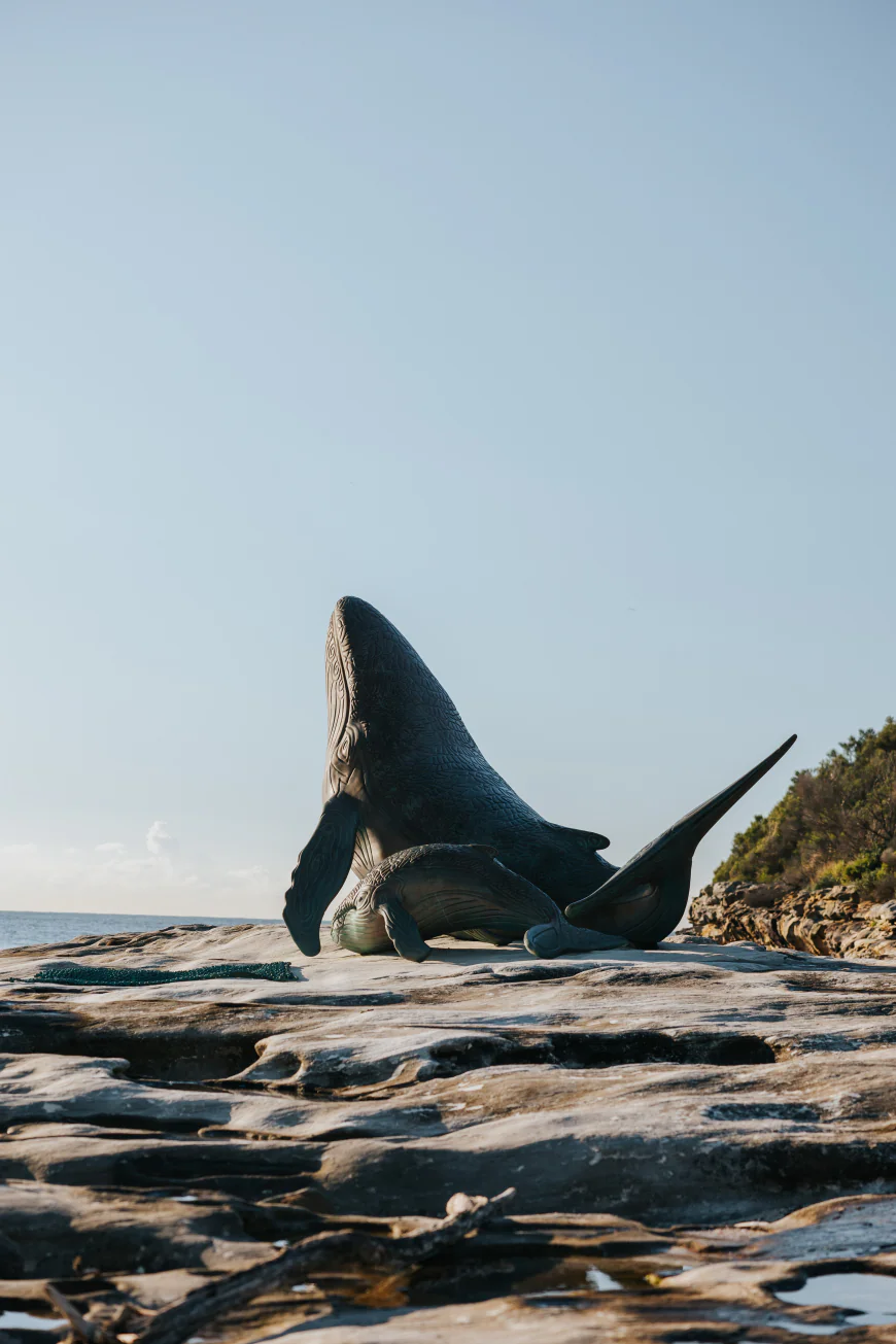 What Makes Cape Solander Lookout in Kurnell Worth Visiting?