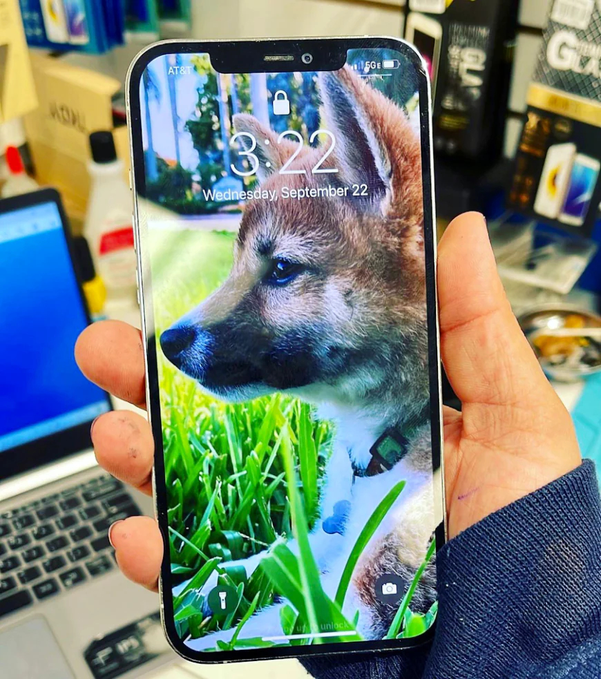 Do Phone Cases Really Prevent Screen Damage? 