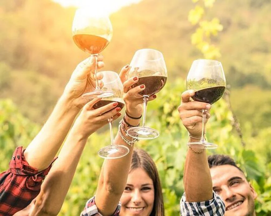 What a Wine Tour in Adelaide Involves and How to Choose the Right Experience?