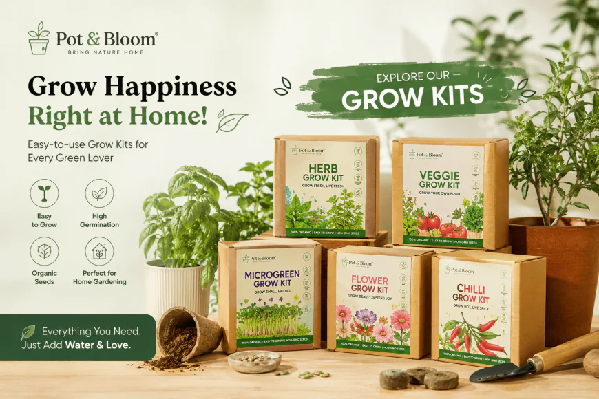 Complete Guide to Choosing the Perfect Gardening Kit Online