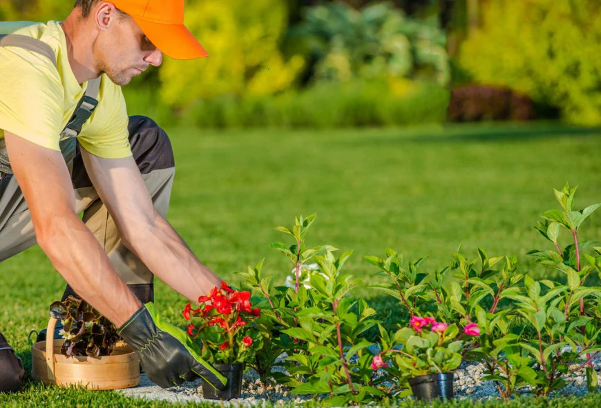Landscaper Services That Keep Your Lawn Healthy, Beautiful, and Built to Last