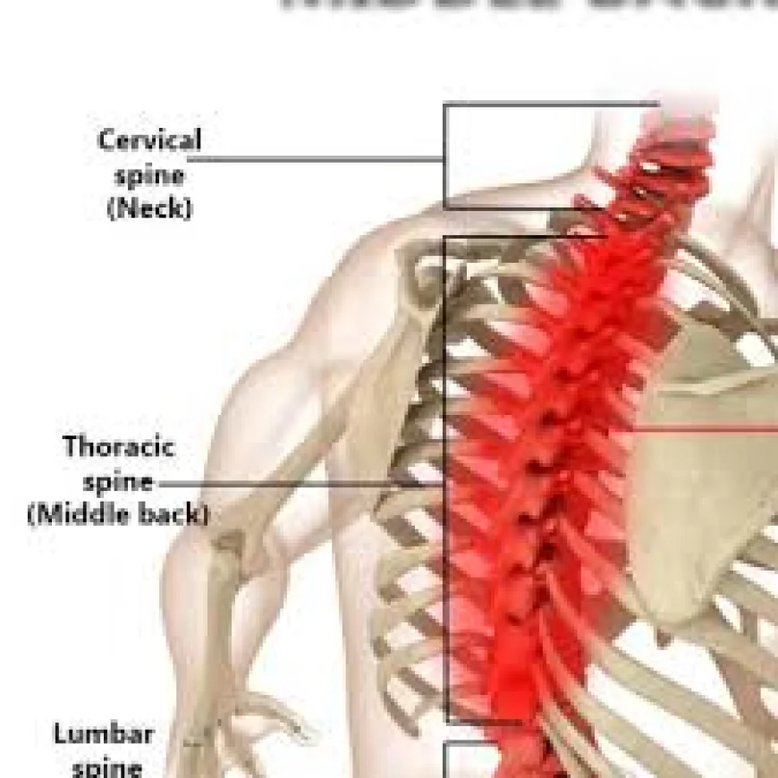 Back Pain Treatment in Dubai: Effective Solutions for Sciatica and Nerve Pain Relief