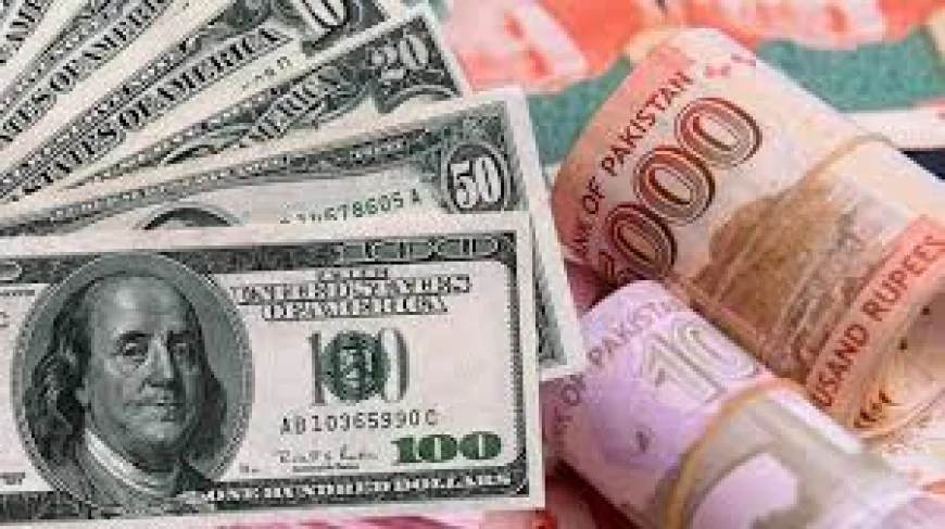 USD to PKR & Money Exchange Lahore | LinkExchange
