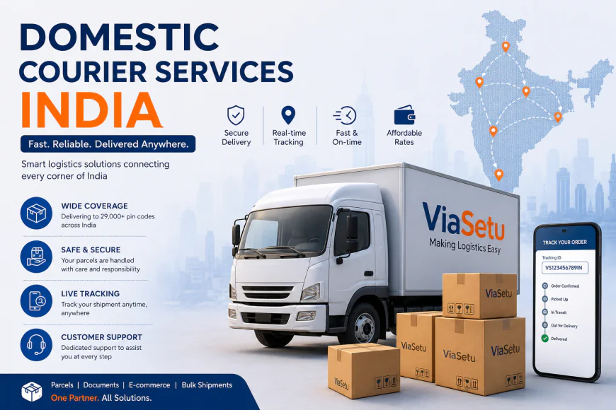 Domestic Courier Services India Fast Delivery Guide