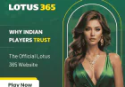 Why More Indian Cricket Fans Are Choosing Lotus Online Betting