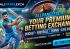 AllPanel Exch Profile Verification Guide for Account Accuracy