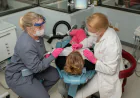 How Do Composite Fillings Blend Seamlessly With Natural Teeth?