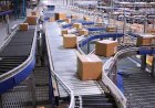 How Vertical Conveyors Keep Modern Farms Moving