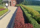 Choosing a Michigan Landscape Designer: Questions to Ask Before You Sign