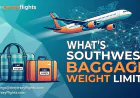 Frontier Airlines Baggage Policy for Domestic Flights: Fees, Weight Limits & Pet Rules (2026)