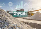 Gypsum Prices Index Analysis with Quarterly Trend and Forecast Prices Chart