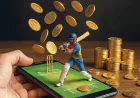 VL Book Official Account Access Guide for New Sports Users