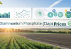 Diammonium Phosphate (DAP) Prices Index Analysis with Quarterly Trend and Forecast Prices Chart