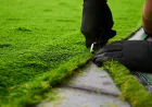 What Homeowners Should Know Before Hiring a Full-Service Landscaping Company in Surprise, AZ